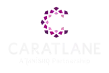 caratlane project